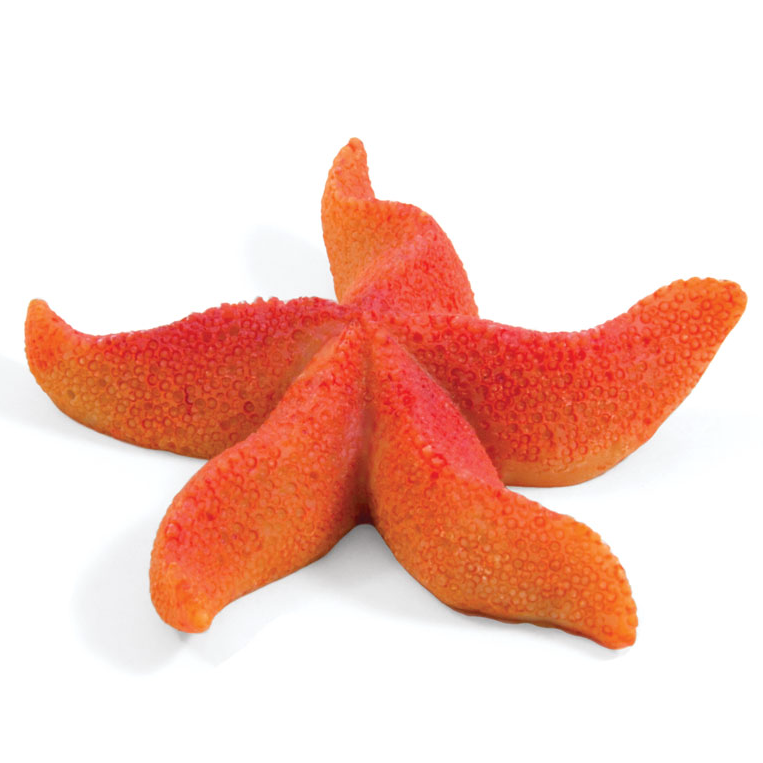 Коралл искусственный  "астерина мини", 64*64*15мм, laguna в интернет-зоомагазине Pets Room
